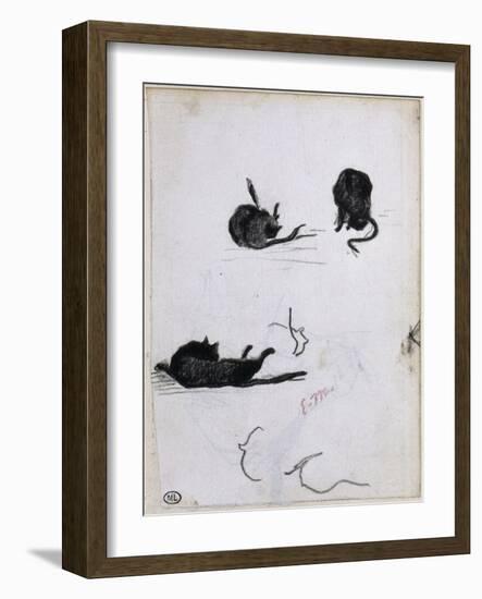 Feuille d'études de chat-Edouard Manet-Framed Giclee Print