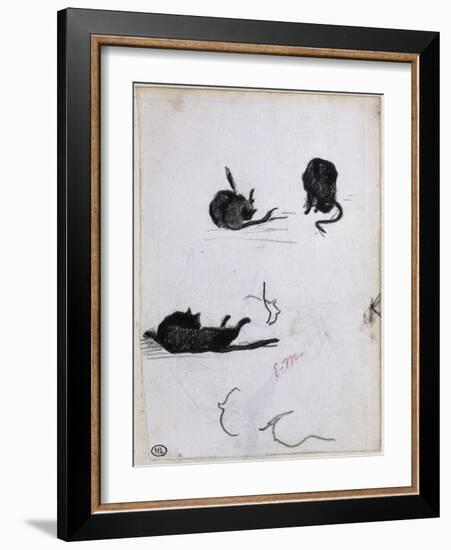 Feuille d'études de chat-Edouard Manet-Framed Giclee Print