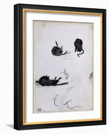 Feuille d'études de chat-Edouard Manet-Framed Giclee Print