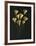 Feuilles de Ginkgo-Paul Taylor-Framed Art Print