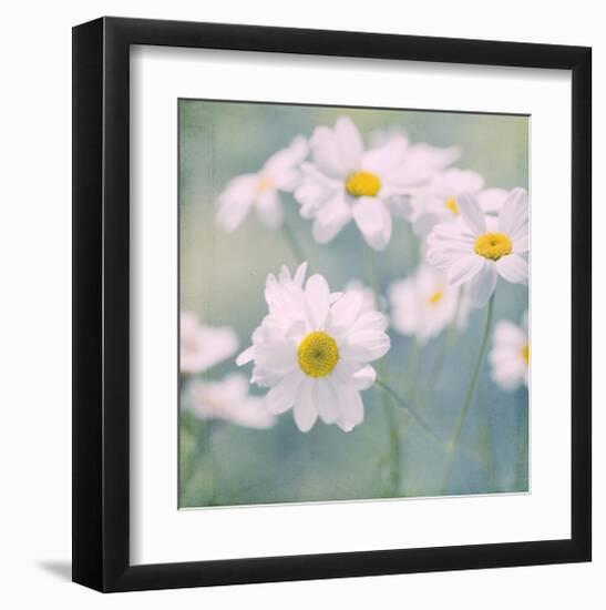 Feverfew I-Judy Stalus-Framed Art Print