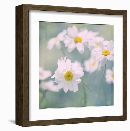 Feverfew I-Judy Stalus-Framed Art Print