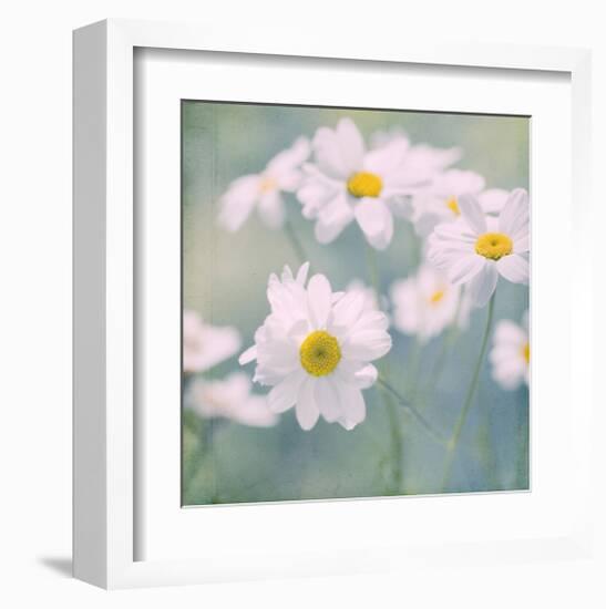 Feverfew I-Judy Stalus-Framed Art Print