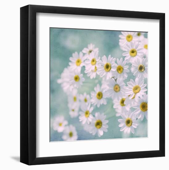 Feverfew II-Judy Stalus-Framed Art Print