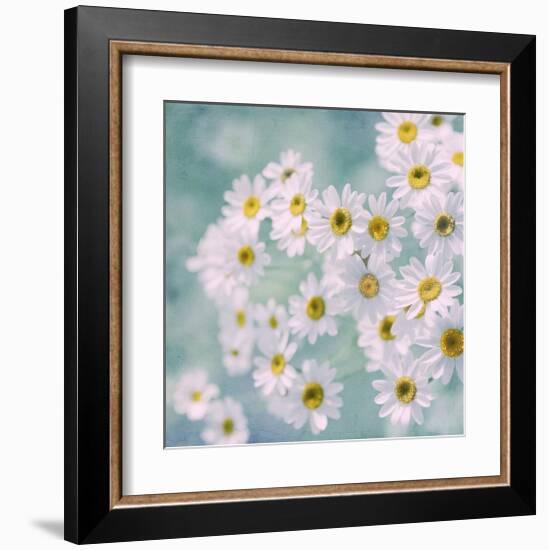 Feverfew II-Judy Stalus-Framed Art Print