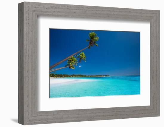 Few Coconut Palms on Deserted Beach of Tropical Island-Martin Valigursky-Framed Photographic Print