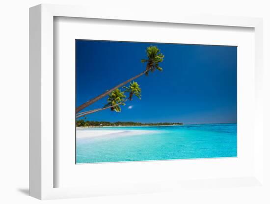 Few Coconut Palms on Deserted Beach of Tropical Island-Martin Valigursky-Framed Photographic Print