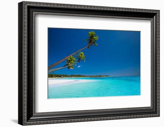 Few Coconut Palms on Deserted Beach of Tropical Island-Martin Valigursky-Framed Photographic Print