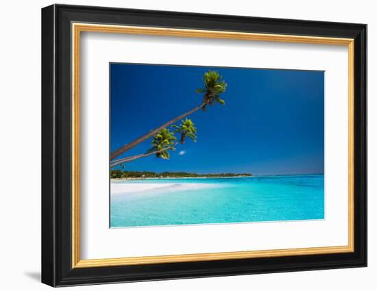 Few Coconut Palms on Deserted Beach of Tropical Island-Martin Valigursky-Framed Photographic Print