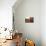 Fez Morocco leather baskets & oriental carpet on the wall in the old medina-Ellen Clark-Photographic Print displayed on a wall