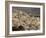 Fez, Morocco, North Africa, Africa-Marco Cristofori-Framed Photographic Print