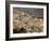 Fez, Morocco, North Africa, Africa-Marco Cristofori-Framed Photographic Print