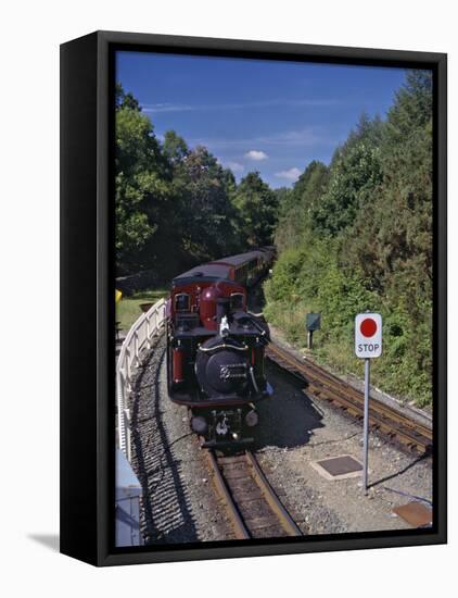 Ffestiniog Railway at Tan-Y-Bwlch, the Busiest of the North Wales Narrow Gauge Railways-Nigel Blythe-Framed Premier Image Canvas