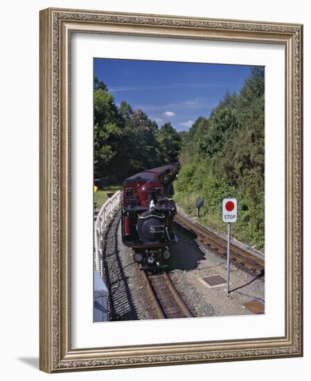 Ffestiniog Railway at Tan-Y-Bwlch, the Busiest of the North Wales Narrow Gauge Railways-Nigel Blythe-Framed Photographic Print