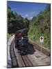 Ffestiniog Railway at Tan-Y-Bwlch, the Busiest of the North Wales Narrow Gauge Railways-Nigel Blythe-Mounted Photographic Print