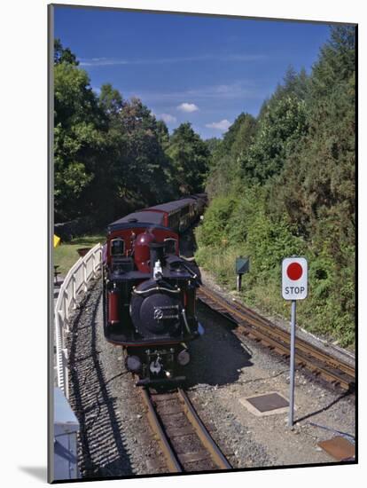 Ffestiniog Railway at Tan-Y-Bwlch, the Busiest of the North Wales Narrow Gauge Railways-Nigel Blythe-Mounted Photographic Print