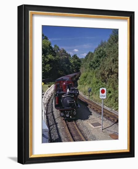 Ffestiniog Railway at Tan-Y-Bwlch, the Busiest of the North Wales Narrow Gauge Railways-Nigel Blythe-Framed Photographic Print