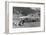Fiat 1200 Cabriolet, C1962-null-Framed Photographic Print