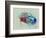 Fiat 500 Watercolor-NaxArt-Framed Art Print