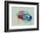 Fiat 500 Watercolor-NaxArt-Framed Art Print