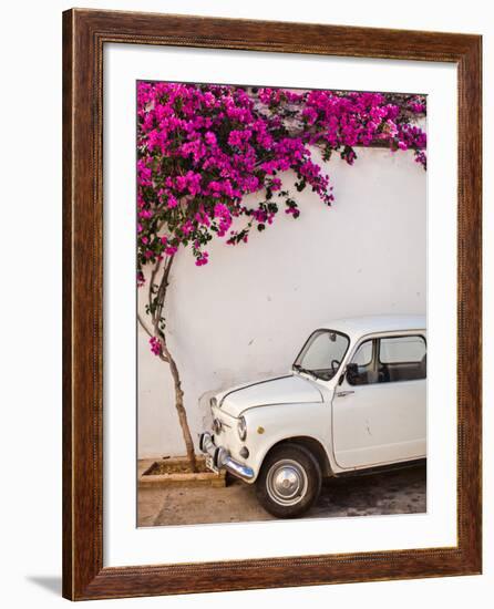 Fiat under Tree in Mojacar, Andalucia, Spain, Europe-John Alexander-Framed Photographic Print