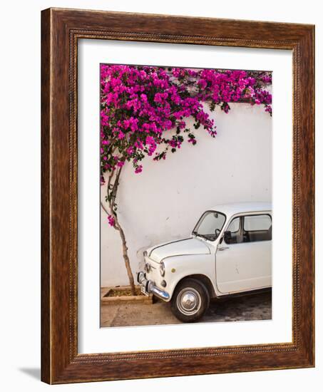 Fiat under Tree in Mojacar, Andalucia, Spain, Europe-John Alexander-Framed Photographic Print