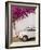 Fiat under Tree in Mojacar, Andalucia, Spain, Europe-John Alexander-Framed Photographic Print