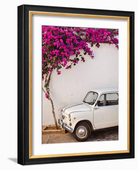 Fiat under Tree in Mojacar, Andalucia, Spain, Europe-John Alexander-Framed Photographic Print