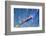 Fiber Cables-kenny001-Framed Photographic Print