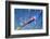 Fiber Cables-kenny001-Framed Photographic Print