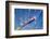 Fiber Cables-kenny001-Framed Photographic Print