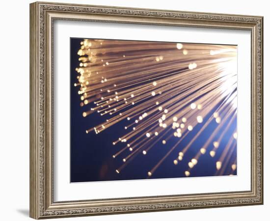 Fiber Optic Cables-null-Framed Photographic Print