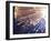 Fiber Optic Cables-null-Framed Photographic Print