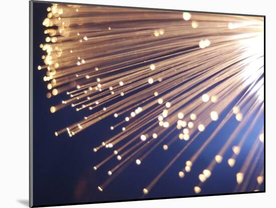 Fiber Optic Cables-null-Mounted Photographic Print