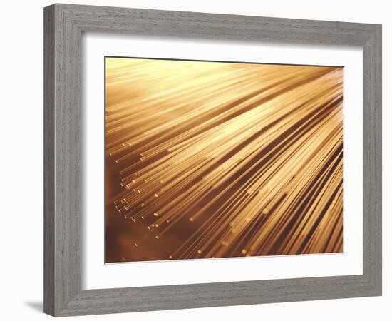 Fiber Optic Wires-null-Framed Photographic Print