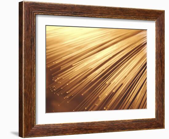 Fiber Optic Wires-null-Framed Photographic Print