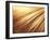 Fiber Optic Wires-null-Framed Photographic Print