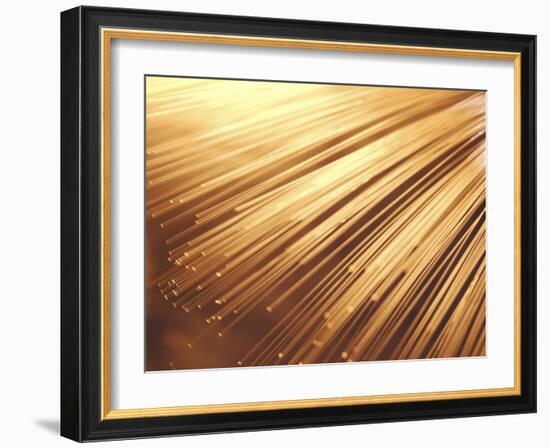 Fiber Optic Wires-null-Framed Photographic Print