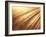 Fiber Optic Wires-null-Framed Photographic Print