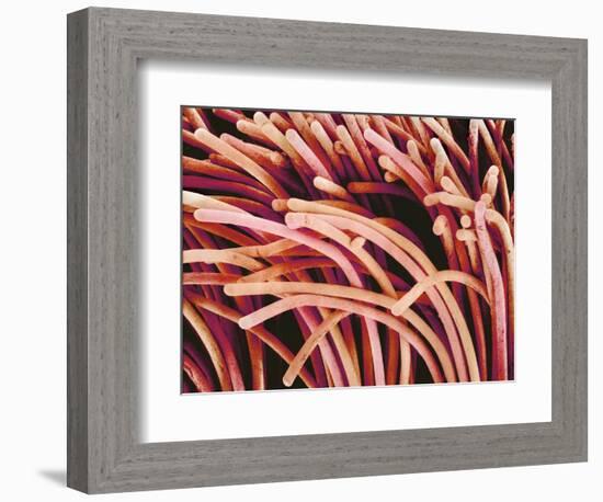 Fibers of a Toothbrush-Micro Discovery-Framed Photographic Print