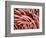 Fibers of a Toothbrush-Micro Discovery-Framed Photographic Print