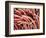 Fibers of a Toothbrush-Micro Discovery-Framed Photographic Print