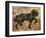 Fibonacci Horse-Marta Wiley-Framed Art Print