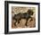 Fibonacci Horse-Marta Wiley-Framed Art Print