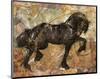 Fibonacci Horse-Marta Wiley-Mounted Art Print