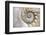 Fibonacci Pattern in Shell-null-Framed Premium Giclee Print