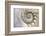 Fibonacci Pattern in Shell-null-Framed Art Print