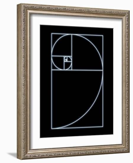 Fibonacci Spiral, Artwork-SEYMOUR-Framed Photographic Print