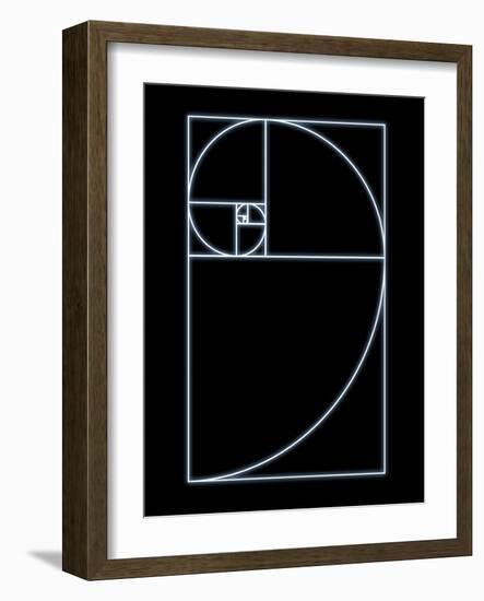 Fibonacci Spiral, Artwork-SEYMOUR-Framed Photographic Print
