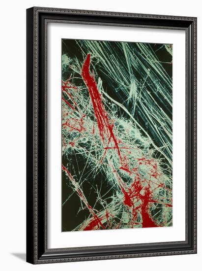 Fibres of Blue Asbestos-Dr. Jeremy Burgess-Framed Photographic Print